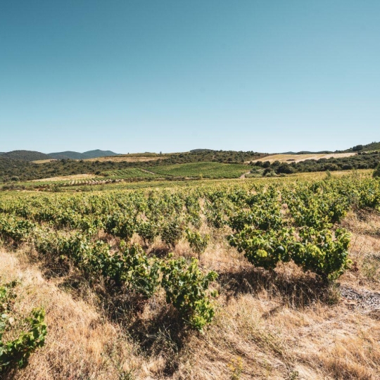 Benedicte JOUVET - ODYSSEE - IMMO-DIFFUSION : Terrain | CASCASTEL-DES-CORBIERES (11360) | 107.00m2 | 130 000 €  Benedicte JOUVET - ODYSSEE - IMMO-DIFFUSION : Terrain | CASCASTEL-DES-CORBIERES (11360) | 107.00m2 | 130 000 €